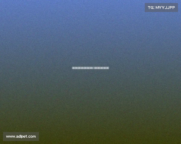 凯尔凯兹赞维尔茨带球能力出众 技术动作堪称独一无二 凯尔凯兹赞维尔茨带球能力出众 技术动作堪称独一无二