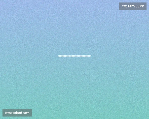 曼联若引进谢什科失败 可尝试签下布伦特福德前锋伊万托尼 曼联若引进谢什科失败 可尝试签下布伦特福德前锋伊万托尼