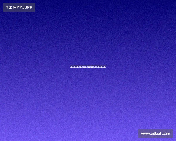 德甲球队引援动态分析 新赛季转会风云与战术布局解析