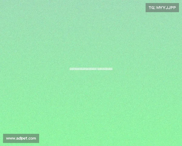 美媒预测快船新赛季先发三巨头场均得分 小卡哈登比尔携手出击